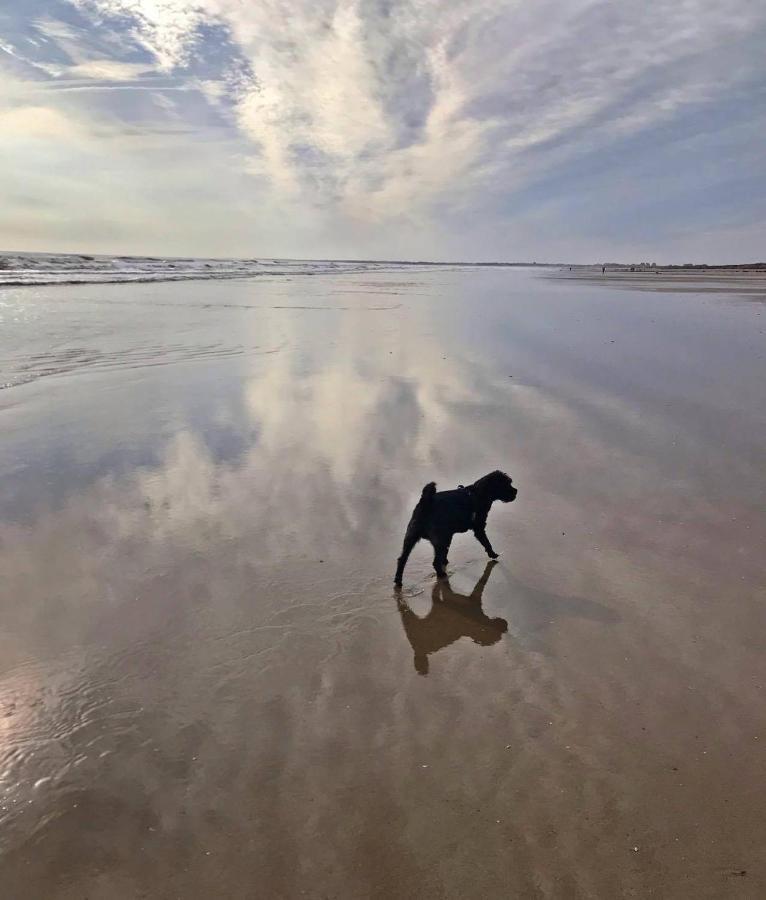 Bridlington's Bolt Hole