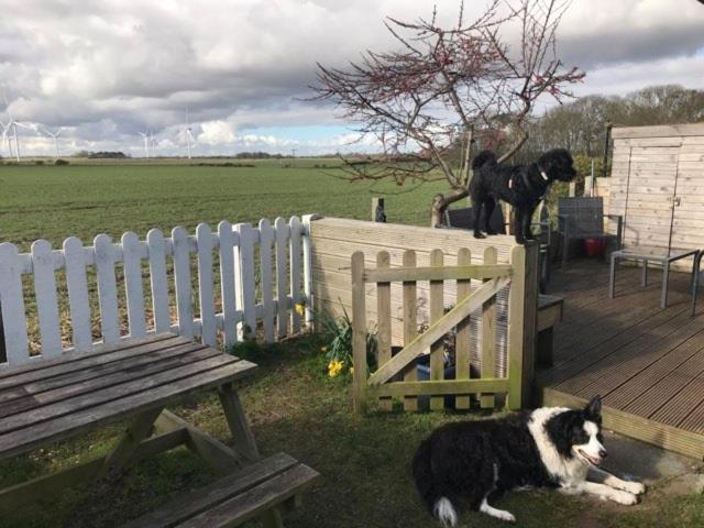 Bridlington's Bolt Hole *