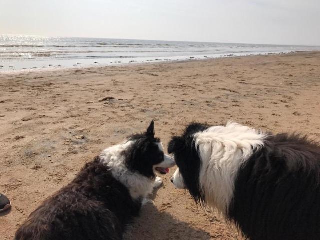 Bridlington's Bolt Hole *
