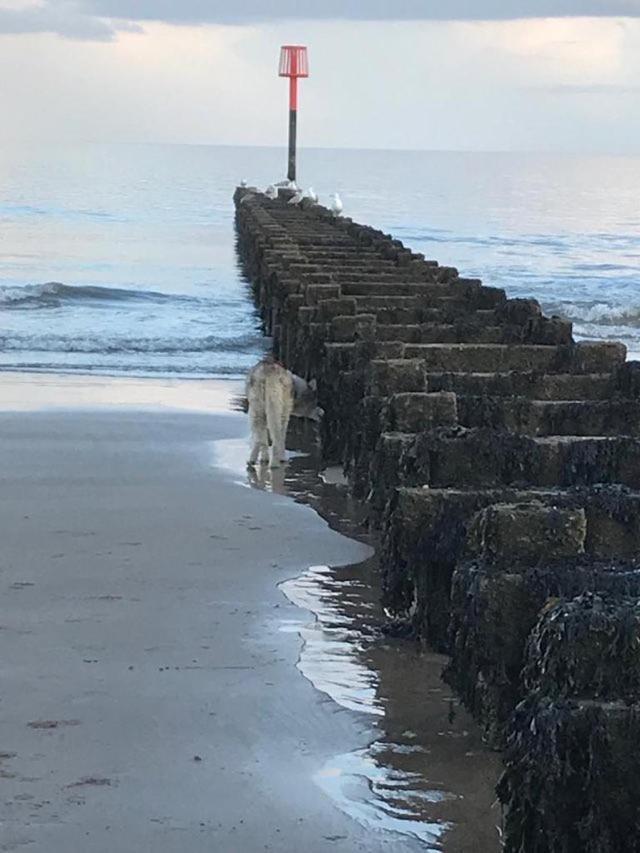 Bridlington's Bolt Hole