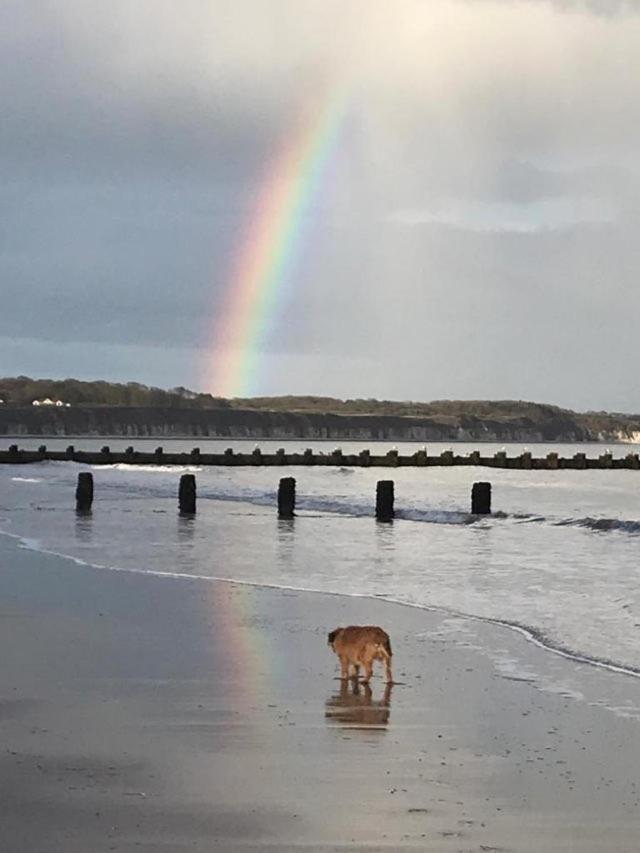 Bridlington's Bolt Hole Bridlington